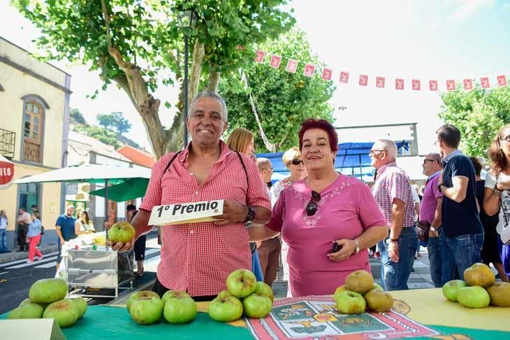 Fiesta de la manzana de Valleseco