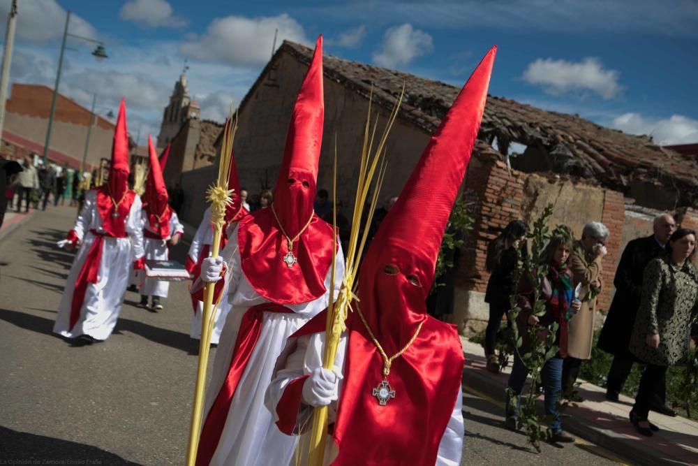 Semana Santa 2018: Procesión de palmas Villaralbo