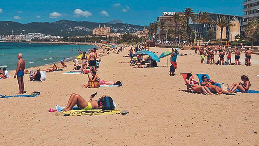 Delincuentes de Son Gotleu y La Soledat se desplazan a robar en Can Pere Antoni - Vimarsana News