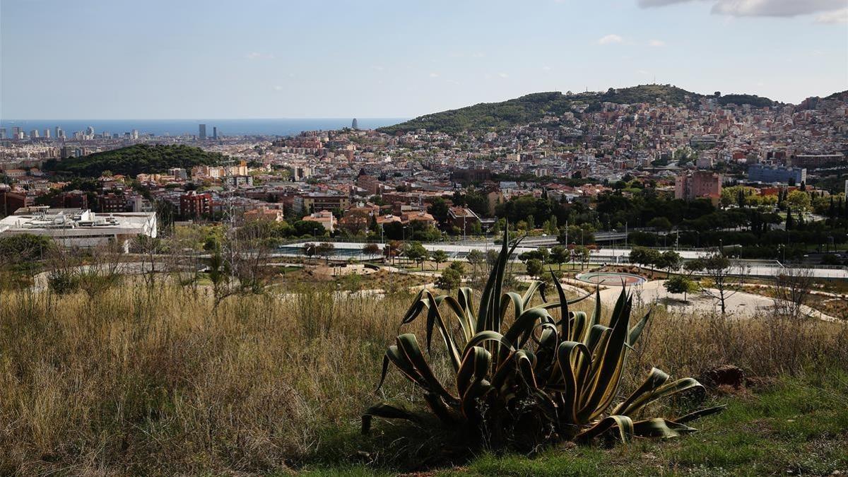 Vista del futuro Parc dels Tres Turons desde la carretera de Cerdanyola.