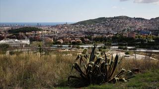 El gigante verde de Barcelona