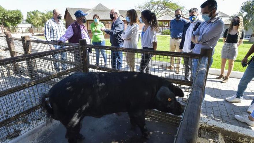 La Finca de los Olivos solicita la declaración de Bien de Interés Social