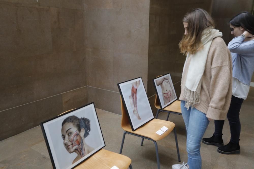 Exposición sobre 'bodypainting' en la Facultat de Medicina