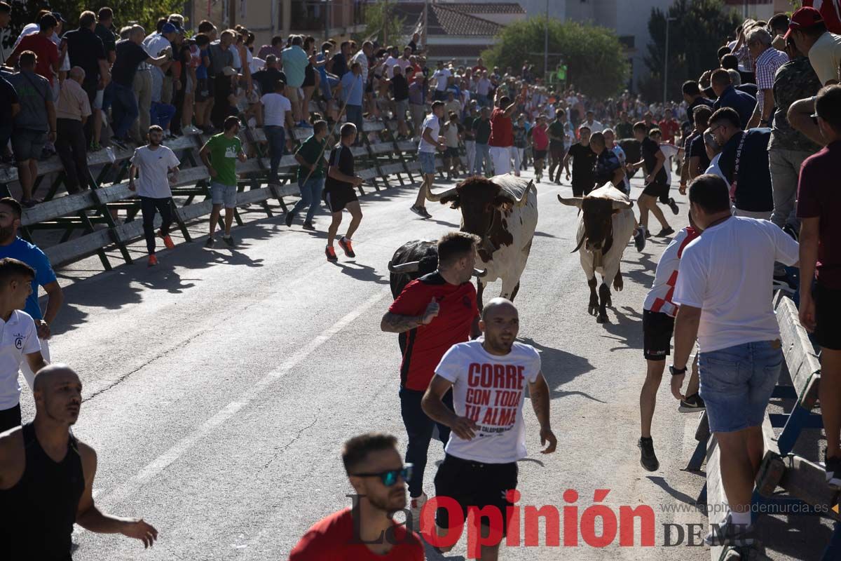 Sexto encierro de la Feria del Arroz de Calasparra