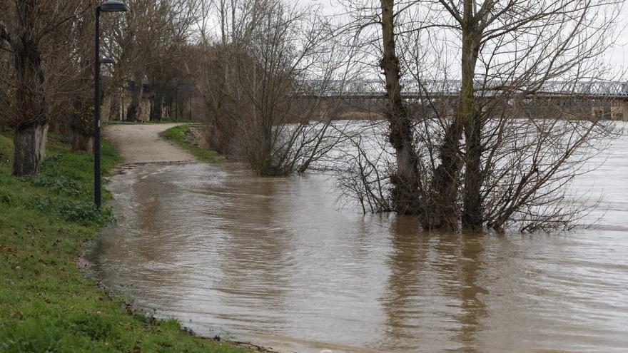 La crecida del Duero obliga a cortar paseos ribereños en Zamora