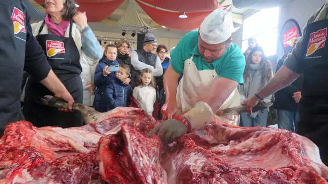 El rito de la matanza tradicional del cerdo ibérico se hace fiesta en Monesterio