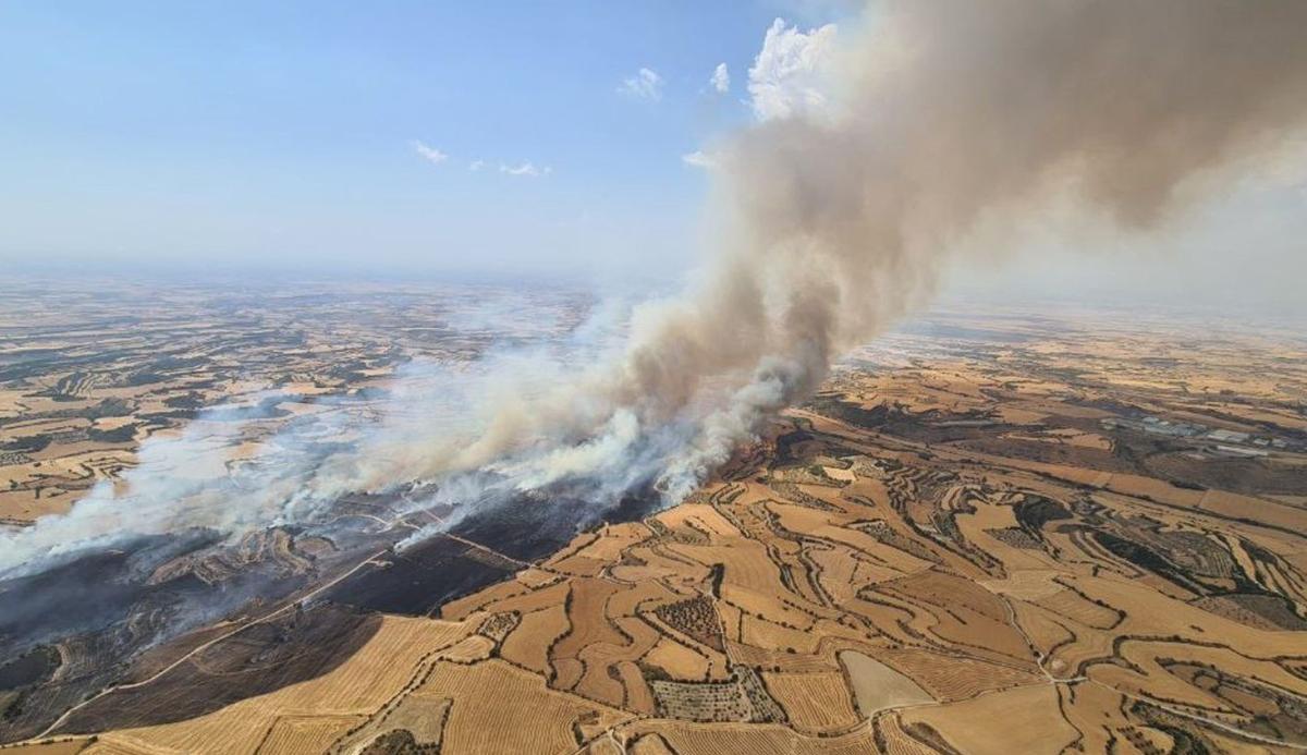 Catalunya crearà plantes solars en zones boscoses per evitar incendis