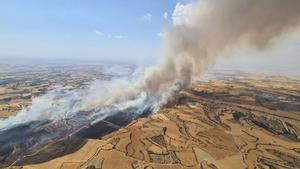 Catalunya crearà plantes solars en zones boscoses per evitar incendis