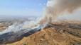 Catalunya crearà plantes solars en zones boscoses per evitar incendis
