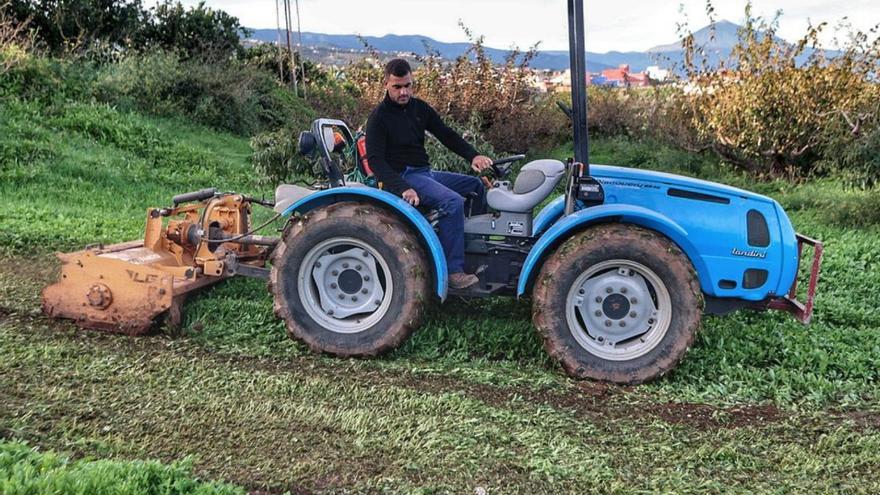 La Esperanza: preparando el verano