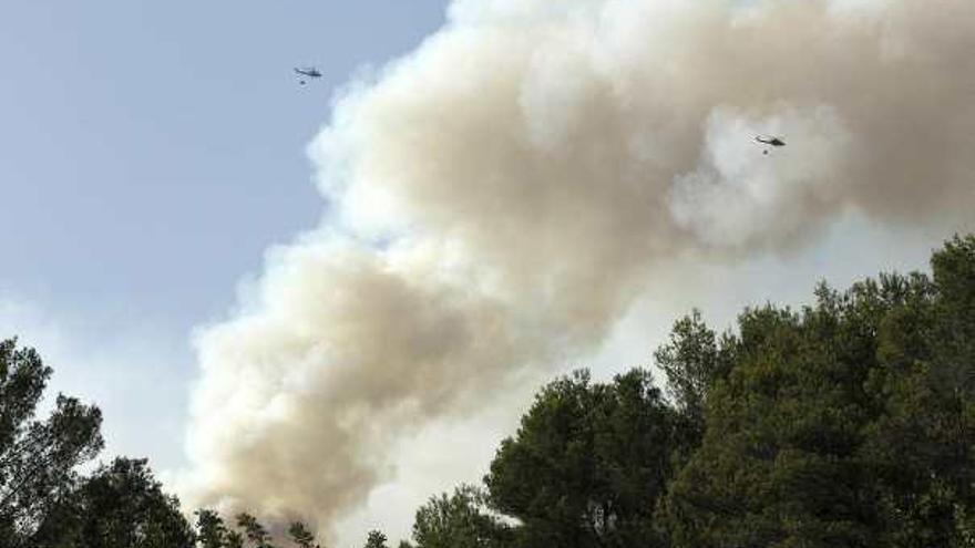 Varios helicópteros trabajaron ayer en la extinción del incendio de Mallorca.