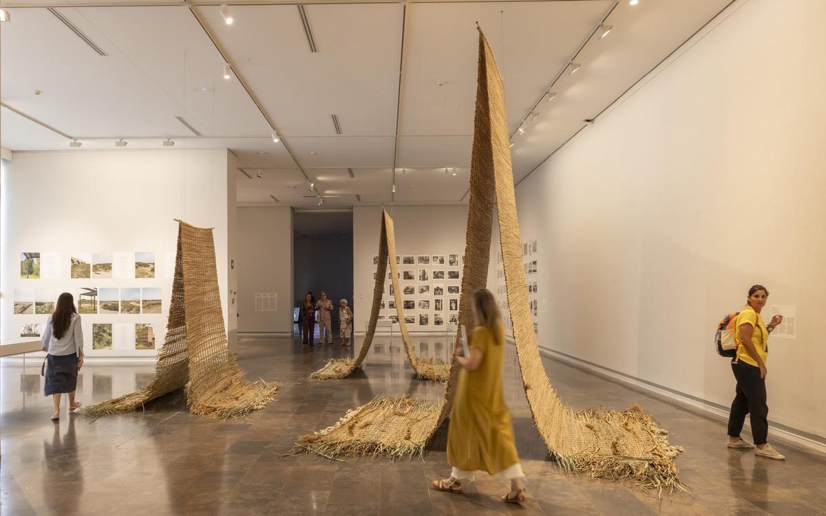 Exposición L'Albufera en el IVAM