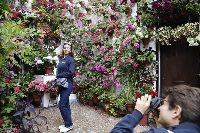 Primera jornada del concurso de Patios, en imágenes