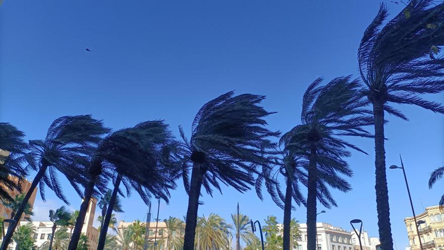 Tiempo en Murcia | Alerta por fuerte viento este lunes en la Región Tiempo en Murcia | Alerta por fuerte viento este lunes en la Región