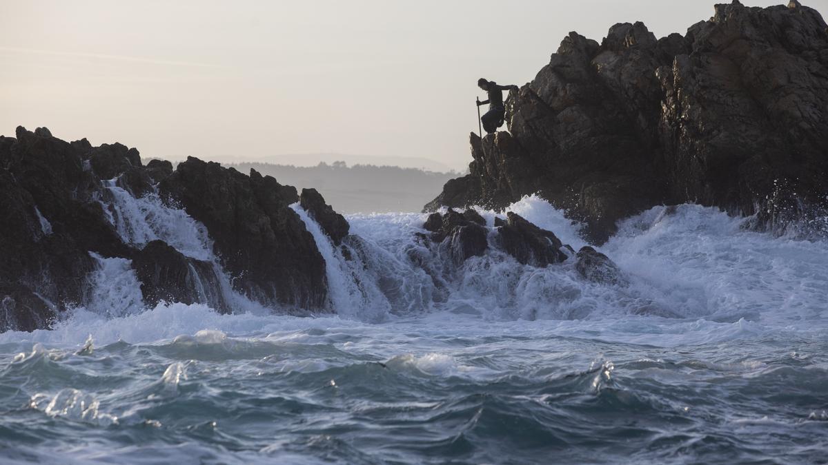 Perceberos en las rocas de Peñas