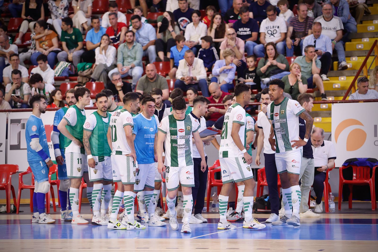 El Córdoba Futsal - Jimbee Cartagena, en imágenes