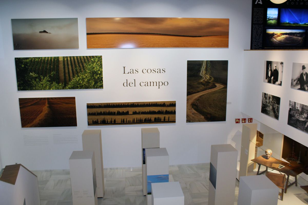 Inauguración del Museo del Conjunto Arqueológico Dólmenes de Antequera