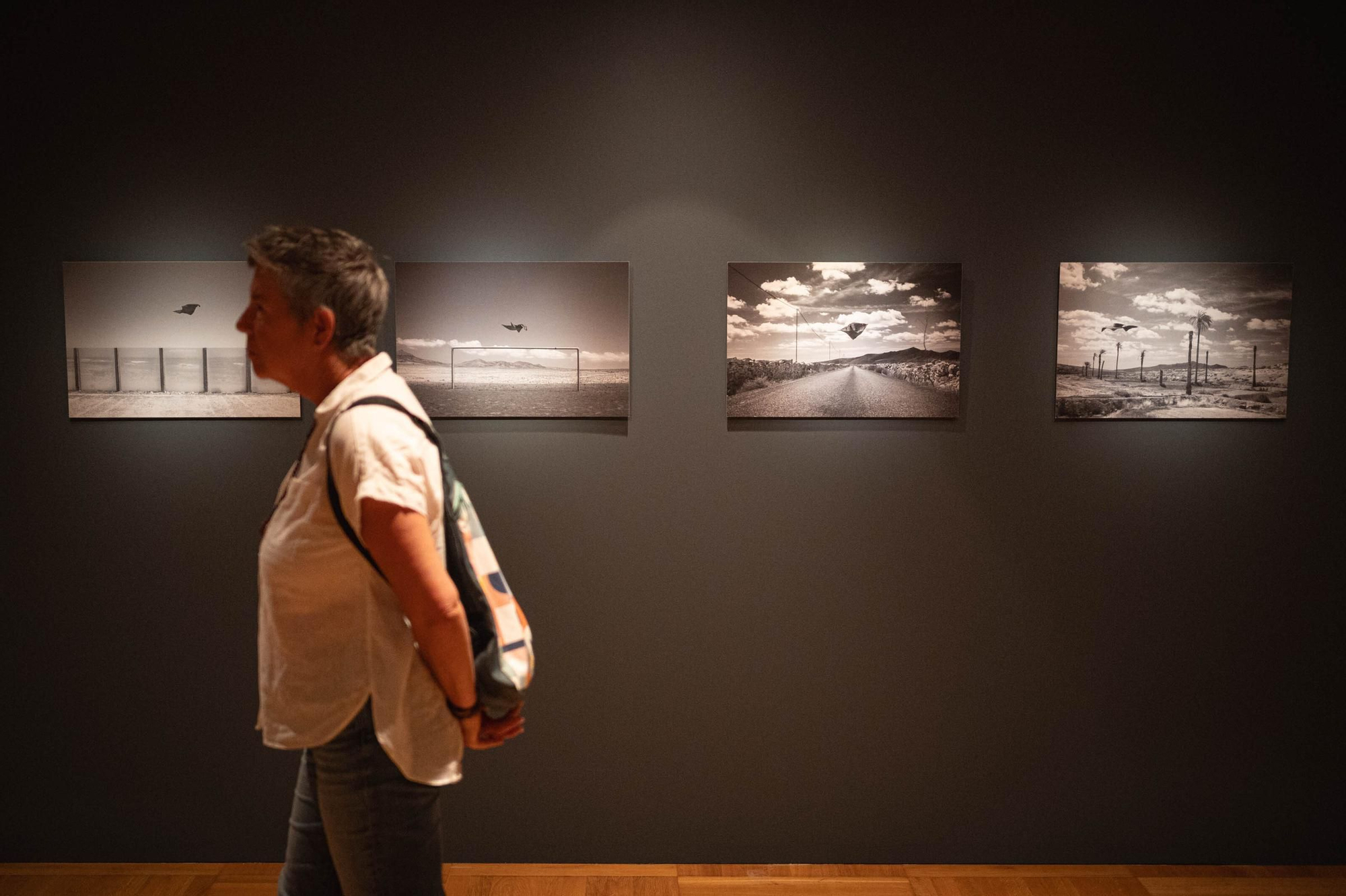 Exposición de seleccionados de los Premios de Artes Plásticas CajaCanarias