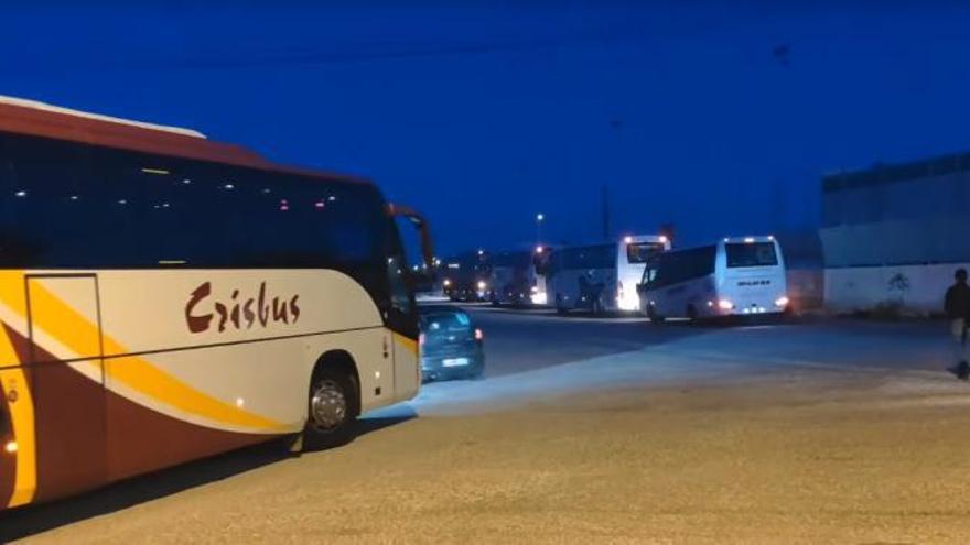 Varios autobuses con alumnos de Gran Alacant que van al IES Cap de l’Aljub. | INFORMACIÓN