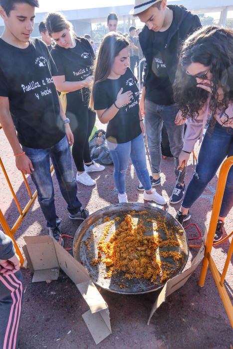 Concurso de paellas en Torrevieja