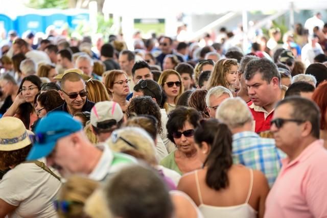 II Feria del Aguacate en Arguineguín