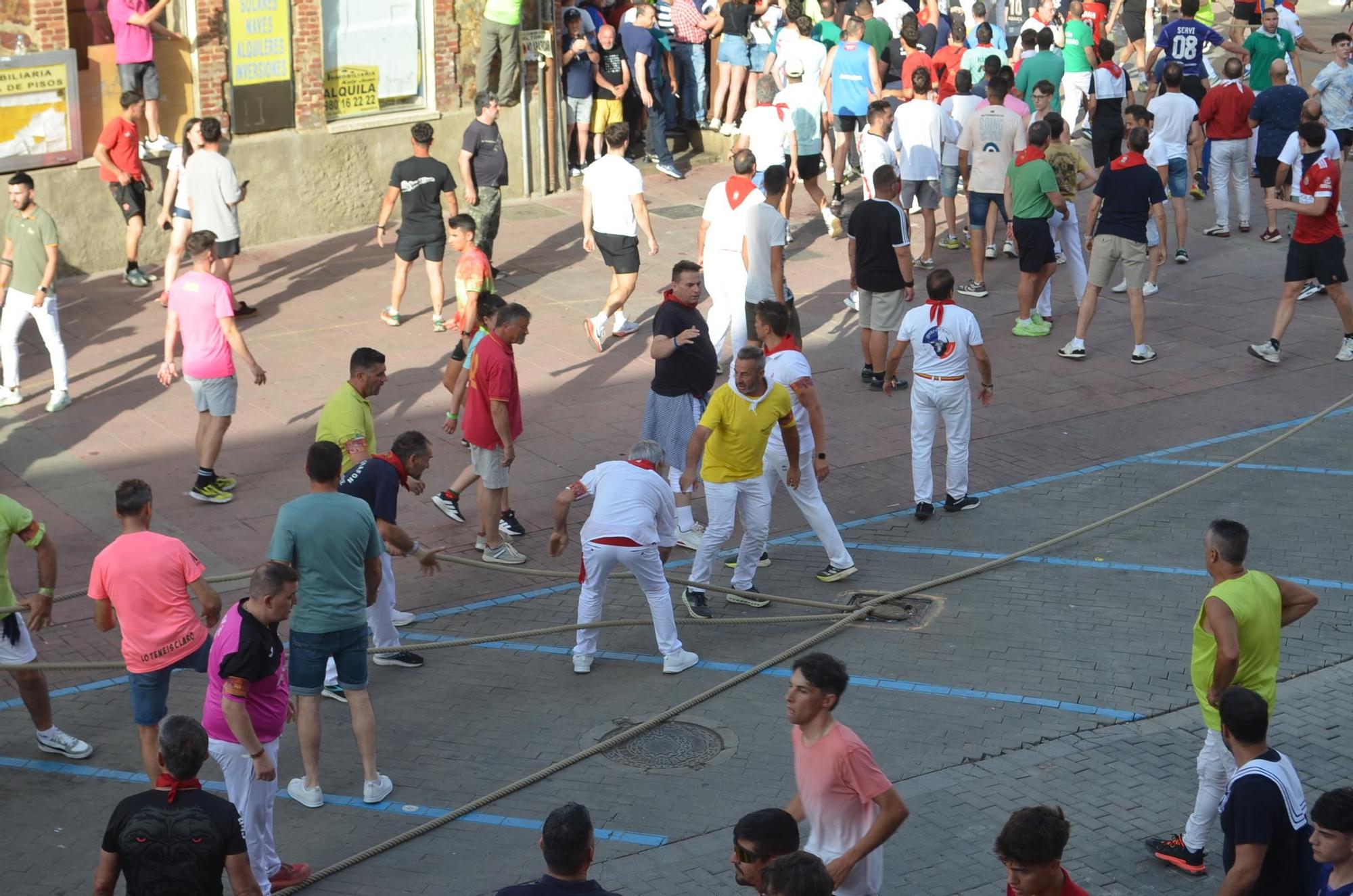 Así ha sido la carrera del torito Espléndido en Benavente