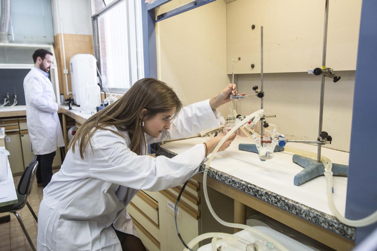 Investigación de excelencia en la UA.