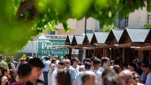 La Primavera DO Terra Alta 2026 afronta una nova edició plagada dactivitats