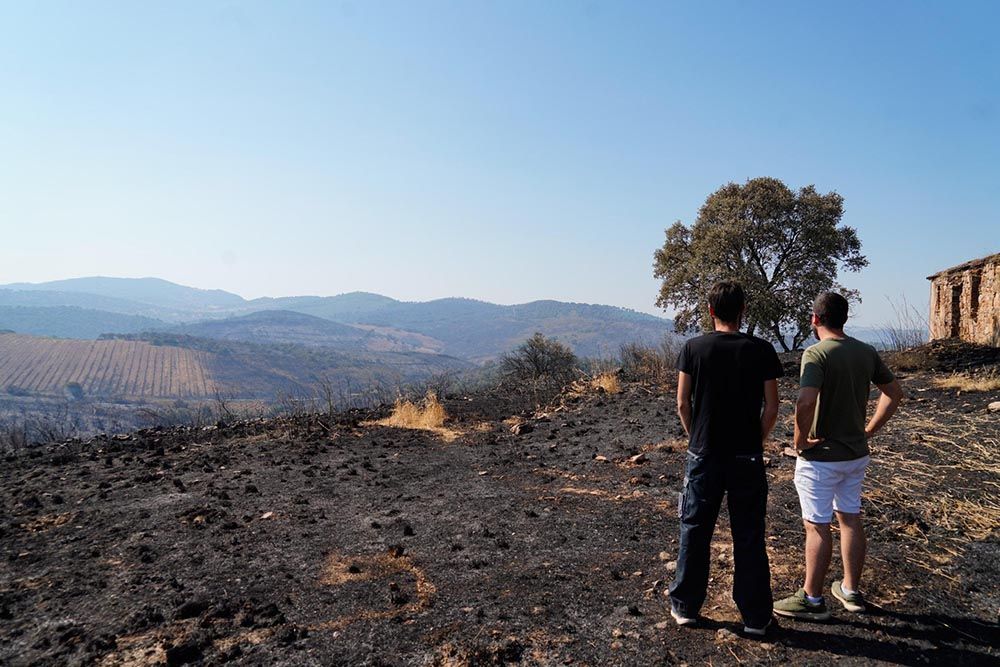 El incendio del Calatraveño arrasa zonas de gran valor ambiental