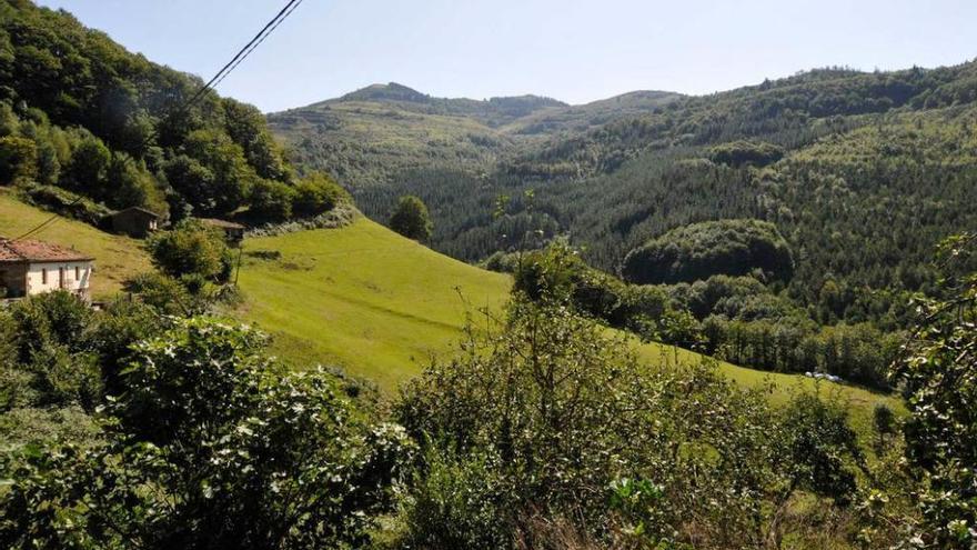 El entorno del monte Polio, en Mieres.