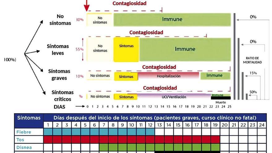 Gráficos facilitados ayer sobre la evolución del virus.