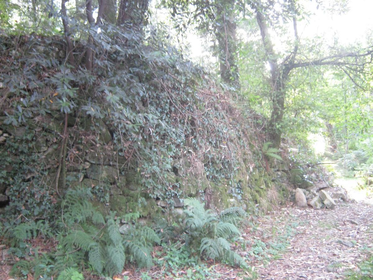 Una de las &quot;Casas da Fraga&quot;, aldea abandonada que sucumbe a la vegetación.