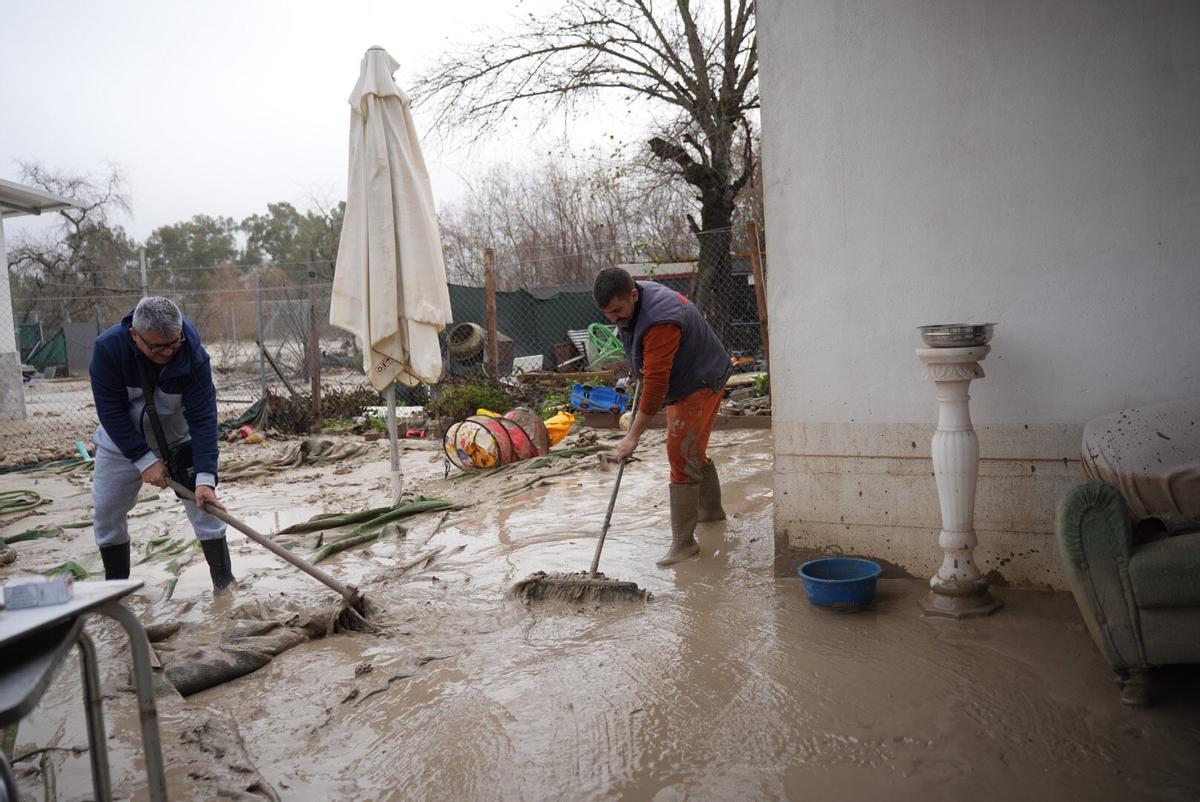 Vecinos de La Cigüeñas quitan lodo esta mañana de su parcela.