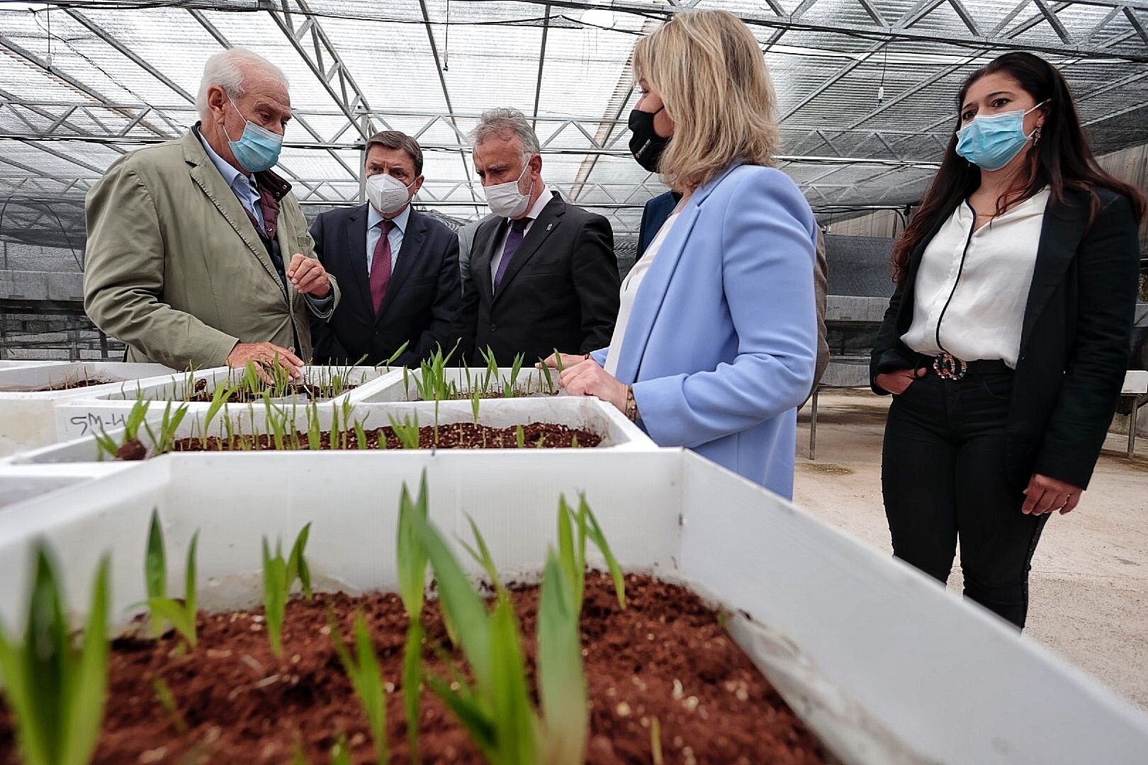 Visita a Tenerife de Luis Planas