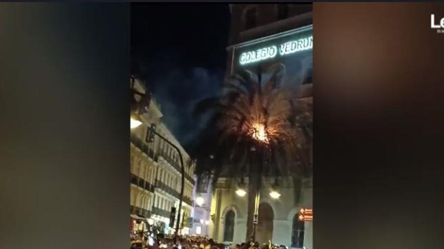 Una palmera se prende fuego durante la Crida 2024