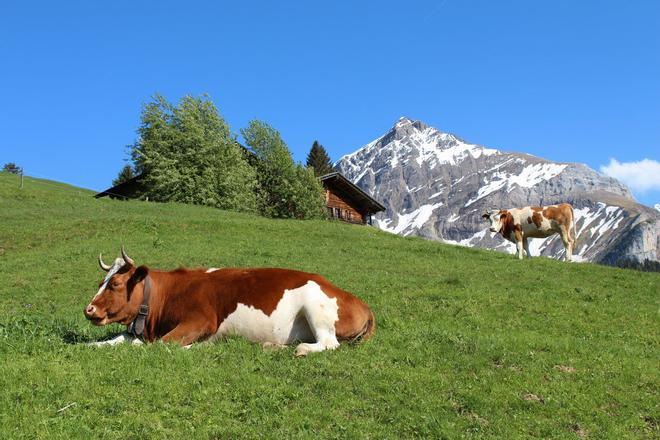 Gstaad, Suiza