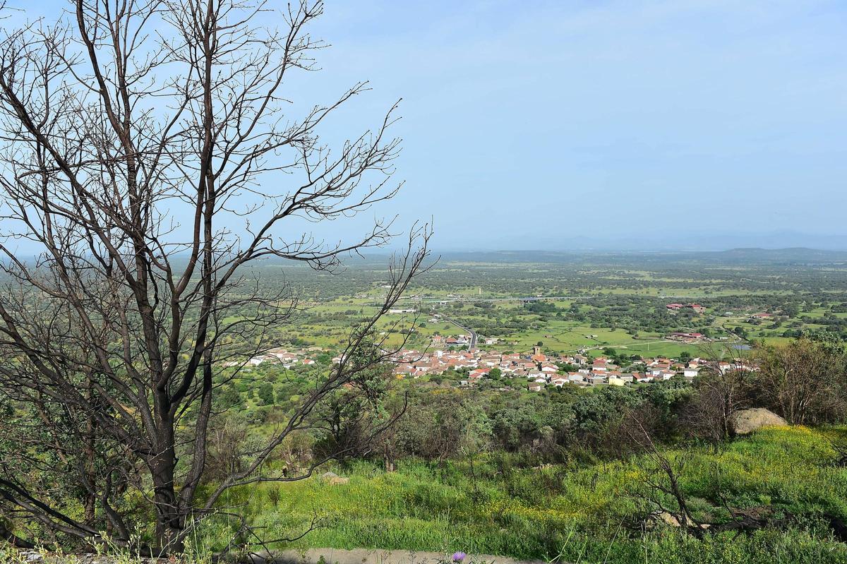 Los troncos calcinados aún dominan una de las laderas afectadas por el incendio, mientras la vegetación comienza a abrirse paso entre las cenizas