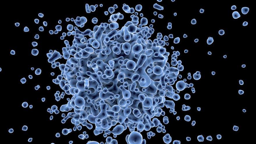 Un virus experimental podría convertirse en una de las herramientas más prometedoras contra el cáncer.