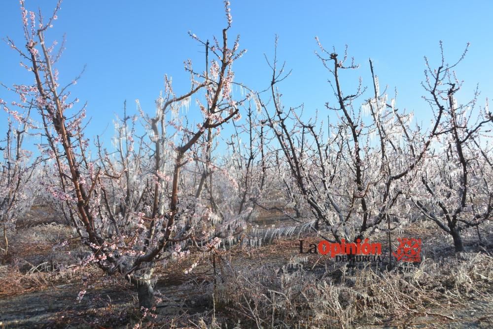 Helada en Cieza 9 de febrero de 2018