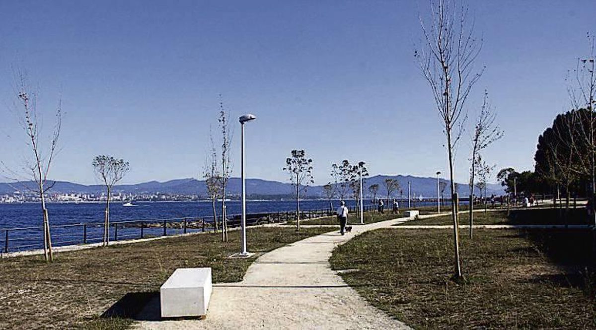 Los técnicos detectan árboles enfermos en parques de Cangas y aconsejan talarlos por riesgo de caídas