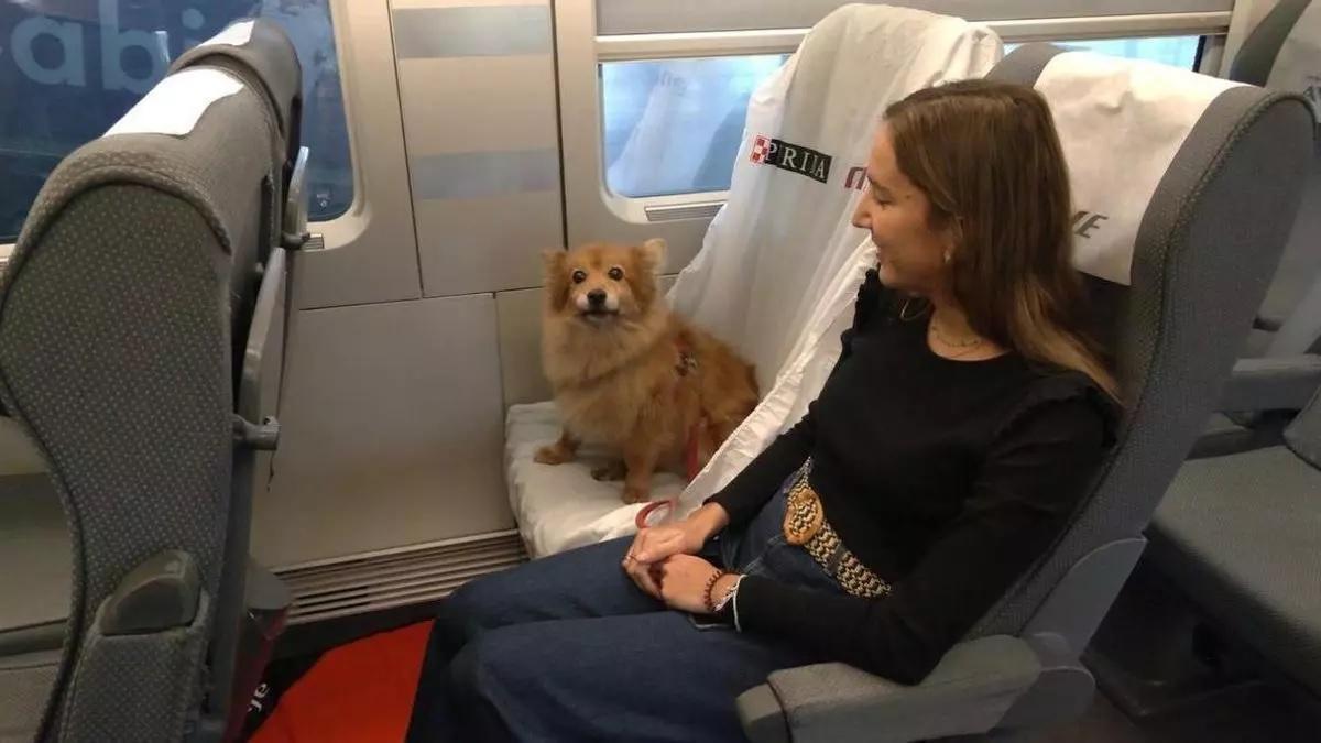 Una dona amb la seva mascota en un tren de Renfe