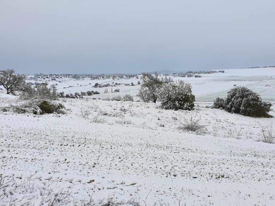 Nieve en Venialbo