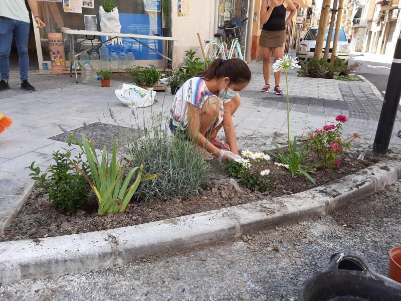 Vecinos de los barrios de Carolinas Bajas y el Pla en una de sus actuaciones para mejorar la imagen de las jardineras colocadas tras las recientes obras de reurbanización