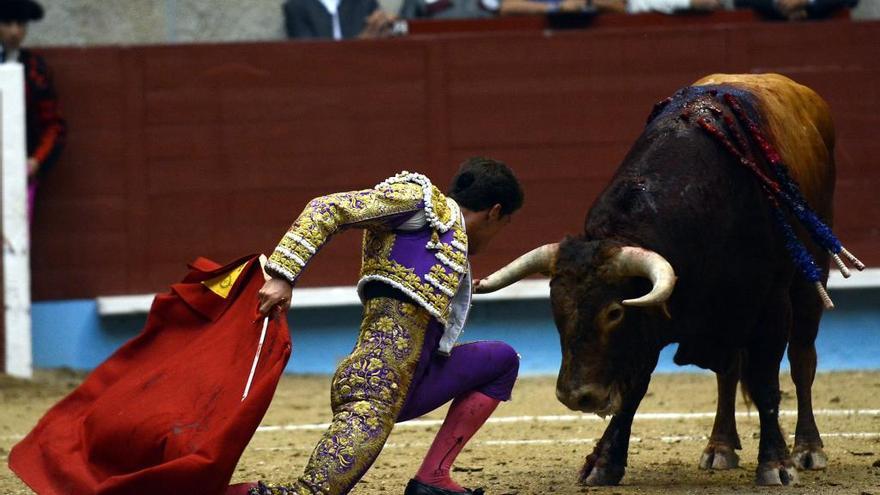 Toros en las fiestas de la Peregrina en Pontevedra. // Rafa Vázquez