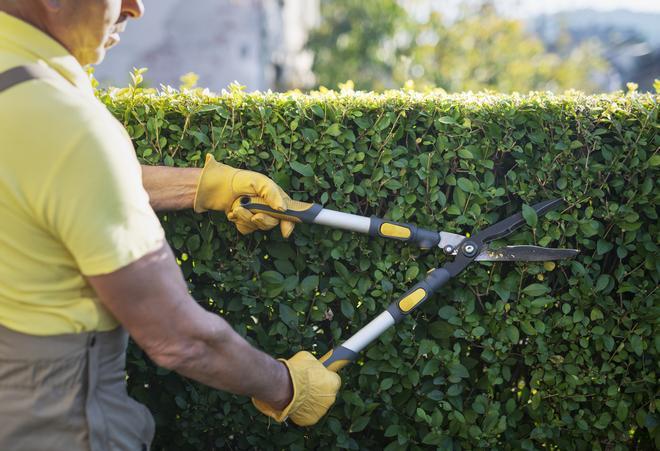 Se necesitan conocimientos de jardinería y poda de setos.