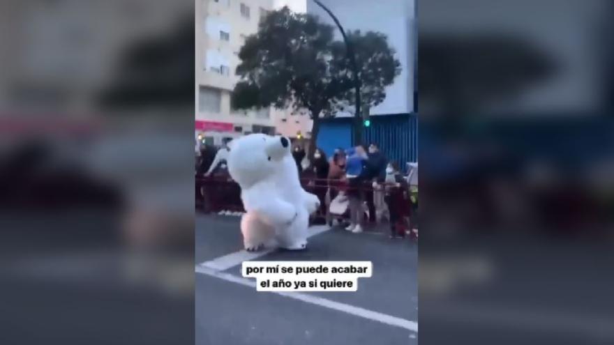 El oso 'degollado' de la Cabalgata de Cádiz que se hace viral