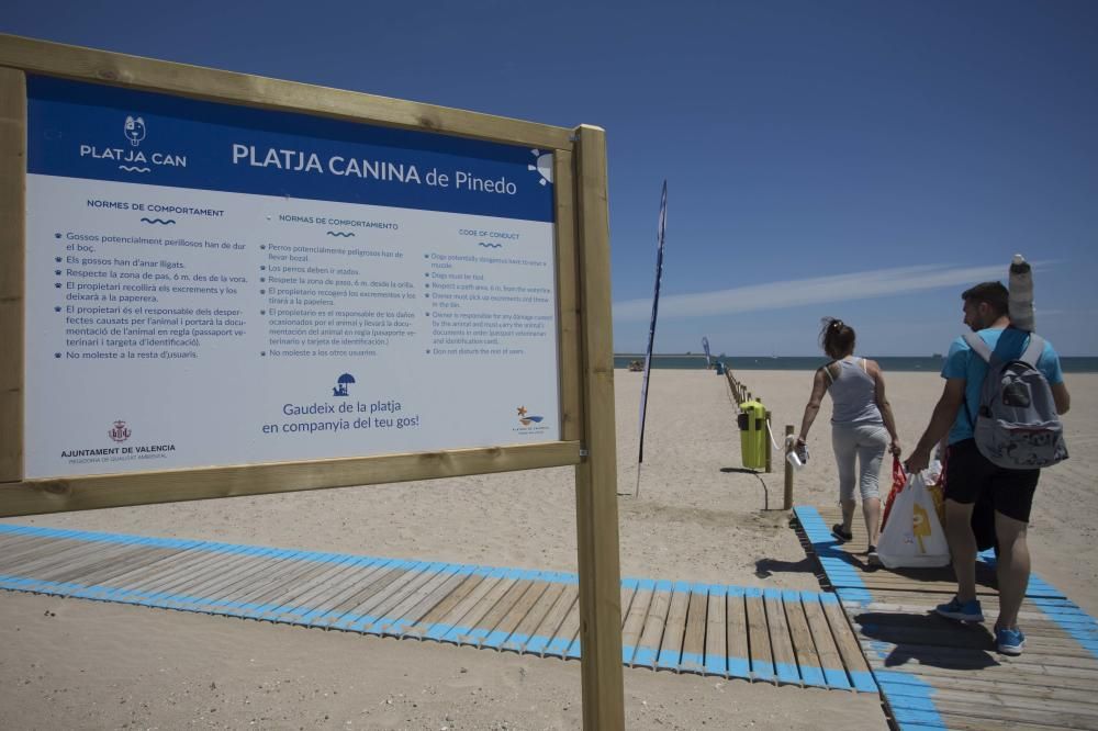 Primer día de la zona para perros en la playa de Pinedo