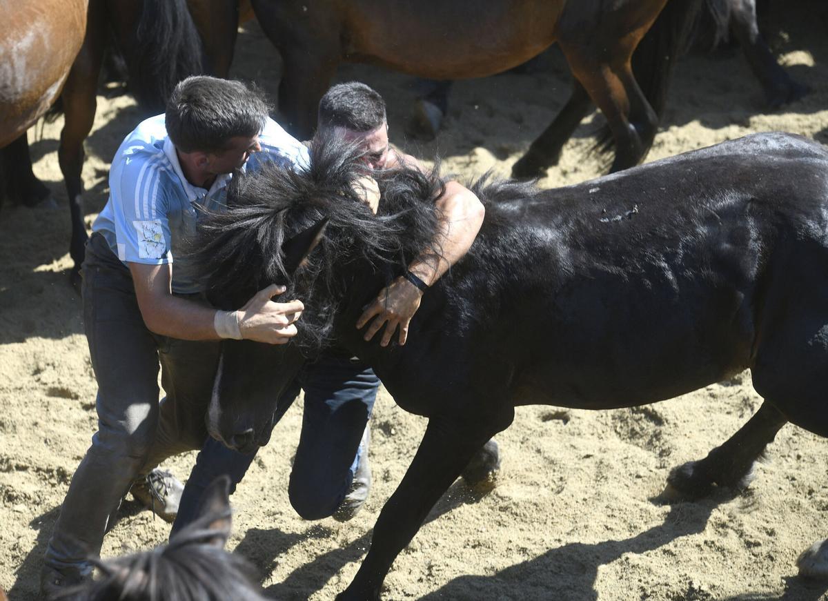 2ª Curro da Rapa das Bestas de Sabucedo, A Estrada.