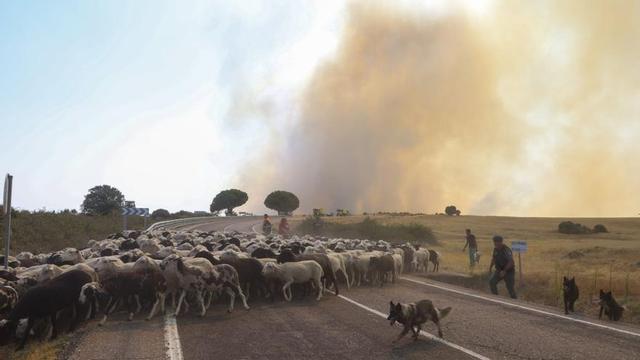 Incendi al parc natural d’Arribes del Duero, a Fermoselle (Zamora), ahir. | FRANCISCO MARCOS VARAS