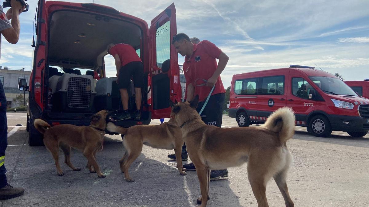 Los bomberos con la unidad canina